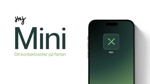 mini billede
